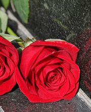 Taxi Puysségur image 1