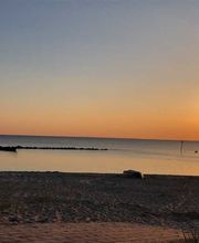 Super Hundeurlaub Bild 15