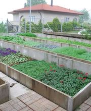 Bullo Luca Fiori Bild 6