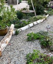 Grundstückspflege und Motorsägenkunst Colin Sand Bild 24