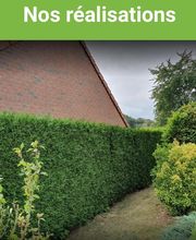 BC Service Élagage image 8