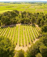 Le Chai des Vignerons image 1