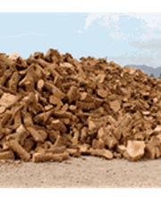 700810-Lenas-y-Carbones-Jorda-carrusel-2-min.png