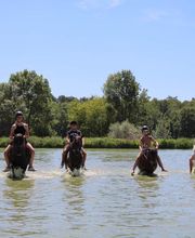 Les Poneys de Monthoiron image 6