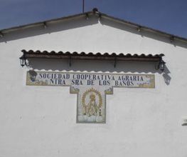 cooperativaaceitenavaoliva.jpg