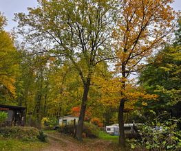 Campingplatz am Sassenpfuhl e.V. Bild 11