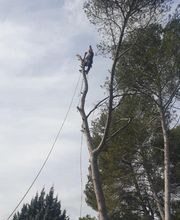 Sannier David Espaces Verts image 17
