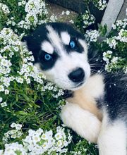 El Edén de Lilith imagen 14