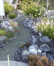 Widler Gartenbau GmbH Bild 7