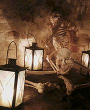 Paragamix GmbH Bild 10