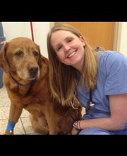 West Park Animal Hospital image 3