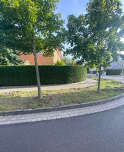 Limaj - Garten und Gebäudeservice Bild 10