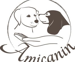 Amicanin image 11