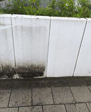 Steinreinigung