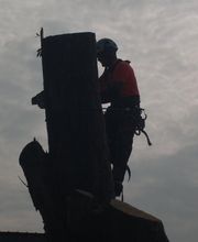 Arbor Vert Paysage image 1