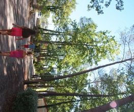 Camping Le Parc image 6