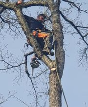 M.B.Elagage image 14