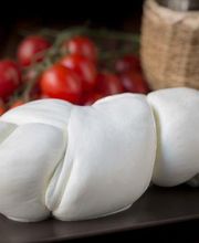 Gallery Professionale