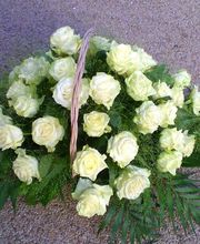 Couleur Nature image 19