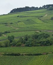 Domaines et Saveurs Collection SAS image 3