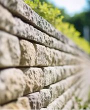 Mutter Gartenbau Bild 7