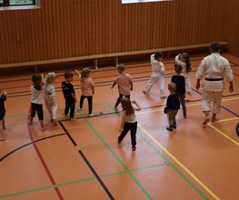 Karate-Minis