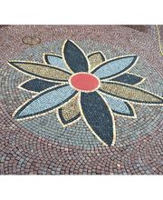 Zena Gartenbau Bild 2