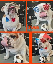 So My Dog Vergèze image 11