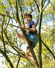 Humankind - BSO De Groene Parel afbeelding 9