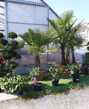 Les Jardins de Delphine image 1