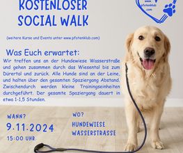 Pfotenklub Bild 3