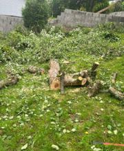 Nushi Garten- und Landschaftsbau & Hausmeisterservice Bild 6