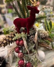 Garten & Floristik Prifling Bild 11