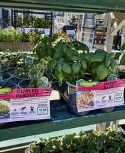 Garden Center Detail Shot