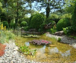 VITA VERDE AG Bild 9