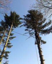 TC-Gartenbau Bild 7