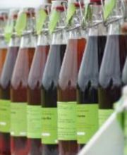 Pierrot Eric image 3