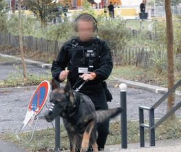 TÝR Sécurité image 7