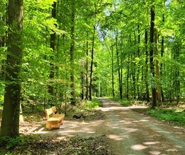 FriedWald Main-Tauber Bild 5