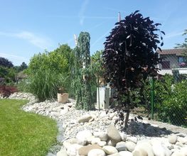 Schneider Garten Bild 13