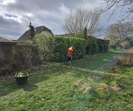 Haus und Gartendienst Bartmann Bild 16