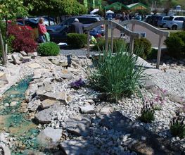 Marco Schmalz Gartengestaltung Bild 3