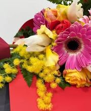 Gallery Cliente