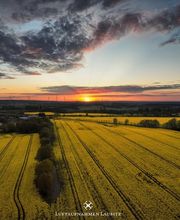 Luftaufnahmen Lausitz Bild 7