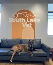 South Lake Vet image 4