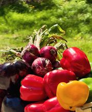 Grotto Centena Bild 12