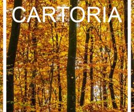 logo-CARTORIA.png