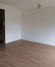 Thurnhofer Ihr Maler Bild 6