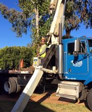 Atlas Tree Service - SavATree image 3