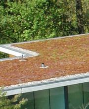 Franz Widmer AG Bild 1